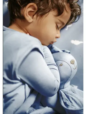 Sleep Bag 0.5tog - Dusk
